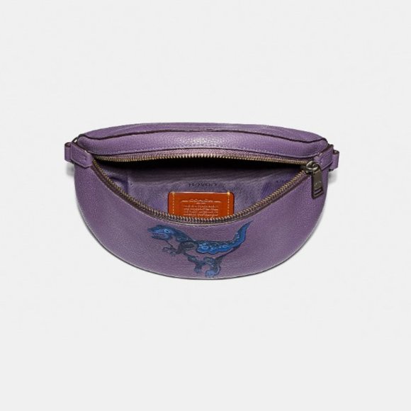 Coach X Zhu Jingyi Rexy Dinosaur Keychain Belt bag Fanny Crossbody Leather Purse - Picture 11 of 12